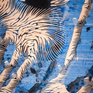 Photographe reportage événementiel sur Nice, Cannes et Monaco